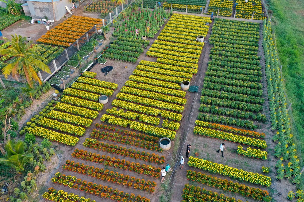 Những sản phẩm từ làng nghề khác